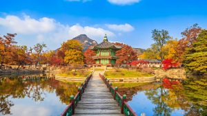 Vẻ đẹp của cung điện hoàng gia Gyeongbokgung vàng rực trong mùa thu Hàn Quốc