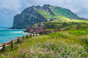 Đảo Jeju xinh đẹp và lãng mạn